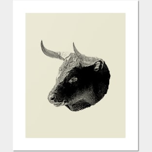 Bull head Posters and Art